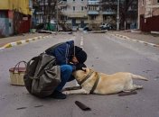 Как вывезти кошку, собаку или другое животное за границу во время войны?