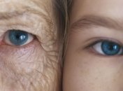 Молодая кровь поможет остановить старение