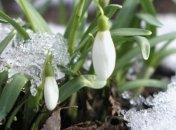 Первый день весны принесет украинцам настоящее тепло