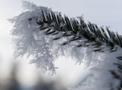 В Украину возвращается оттепель: местами ожидаются туманы и дожди со снегом