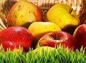 Яблочный Спас: приметы и праздничное меню 