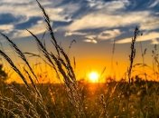 Неустойчивая погода с грозами и жарой: синоптики дали прогноз на июль