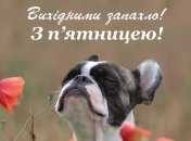 Пятница хоть и небольшой праздник, зато постоянный и всенародный: веселые шутки про конец рабочей недели