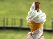 Вкус детства: несколько фактов о мороженом