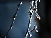 23 ноября - приметы и обряды в день Ераста и Родиона