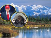 Дональд Трамп та Володимир Путін