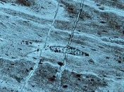 В Китае обнаружили останки динозавра 