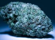 Связь между марихуаной и снижением IQ под сомнением