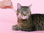 Сделали расклад Таро на финансы для каждого знака Зодиака на неделю с 30 октября по 5 ноября 2023 года