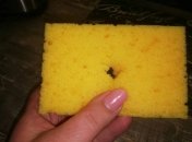 Зачем делать дырку в губке для мытья посуды