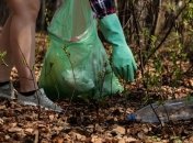 Гнилое листья поможет с переработкой пластиковых отходов - ученые