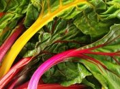 Специалисты рассказали о пользе листовой свеклы