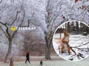 Погода в Україні