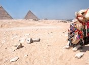 Египетские пирамиды будут сдавать в аренду?