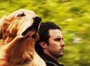 Вышел первый трейлер трогательного фильма "Глазами собаки" (Видео)