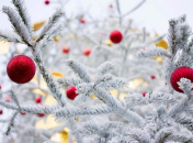 Погода в Украине на Новый год 2017-2018