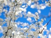 14 апреля. Приметы дня