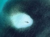 Discovery зробив підбірку кращих фото за 2019 рік  