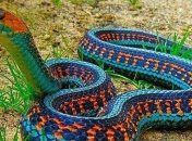 Прикольные картинки, которые непременно вас повеселят 