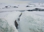 Стежка крізь сніг