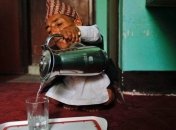 Как просто освежить дыхание