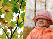 Украинцев ждет комфортное начало сентября