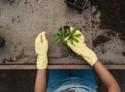 Необов’язково використовувати хімічні добрива