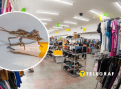 Колаж "Телеграфу"