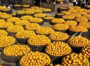 Витамин С влияет на активность генов в стволовых клетках