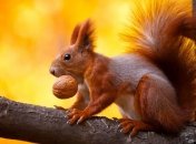 Погода на 30 октября: В Украине будет солнечно и прохладно