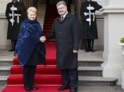 Грибаускайте заявила, что Литва поддерживает европейский выбор Украины