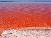Одно из самых больших озер Турции окрасилось в красный цвет