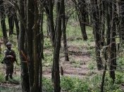 В ФСБ РФ заявляют о попытках диверсий в Крыму украинскими бойцами