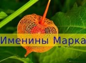 Именины (День Ангела) Марка: значение имени и СМС поздравления