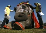 Традиционный конкурс красоты для слонов прошел в Непале