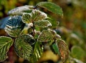 Какой праздник 29 ноября: народные приметы и запреты