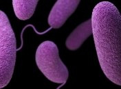 Через повені може зрости кількість інфекційних хвороб