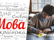 Стилістика української мови