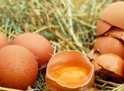 ТОП-10 фактов про сырые яйца, которые полезно знать каждому