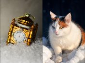 Что нужно и нельзя делать 14 января