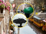 В середині весни очікуються дощі