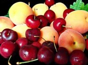 Черешня та абрикоси