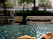 Прогноз погоды в Украине на 15 августа: дожди на севере и западе  