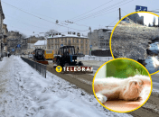 На Харьков идет потепление