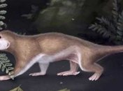 Найден еще один возможный предок человека