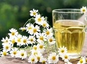 Лечебные свойства ромашки для здоровья организма