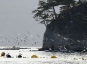 Волна цунами ударила по Японии после землетрясения в Чили 