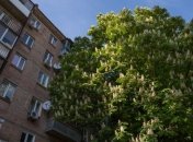 Эксперт: Стоимость жилья в долларах снизилась во всех районах Киева 