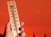 Причиной вымирания флоры и фауны 250 лет назад стало потепление 