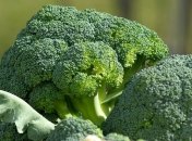 Продукты, защищающие легкие от серьезных поражений